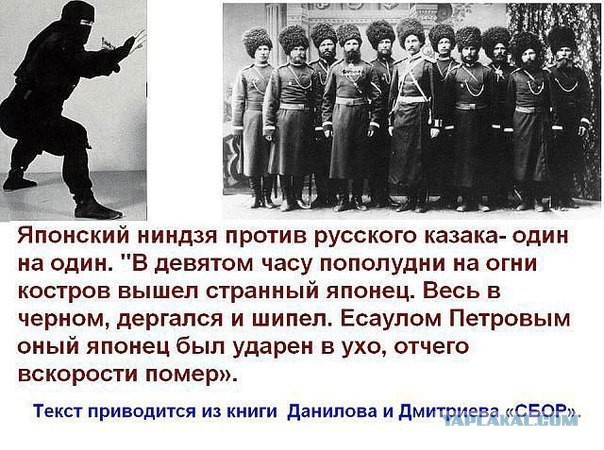 Почему в России не любили казаков