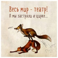 Боец Джефф Монсон стал депутатом в России