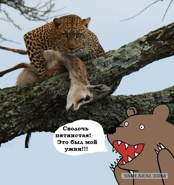 Все в порядке