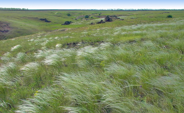 Нашли останки бойца, Луганск.