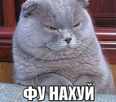 Пышечка примеряет новый наряд 30+