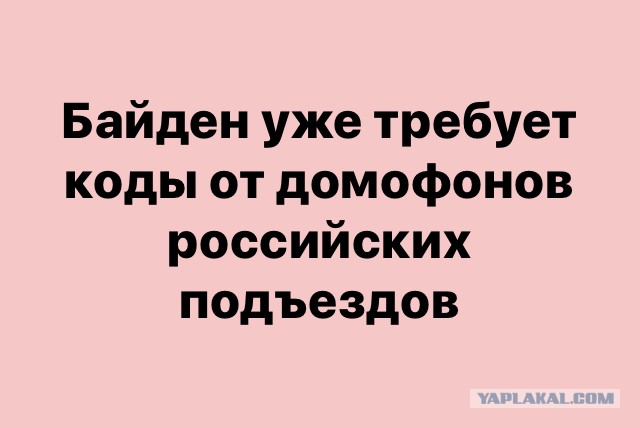 Появились первые результаты подсчета голосов на выборах в США