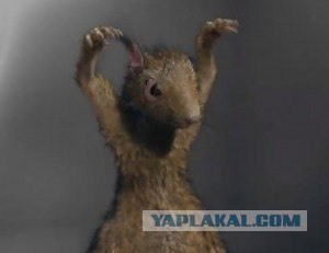 Обычная Японская реклама 0_о  +21