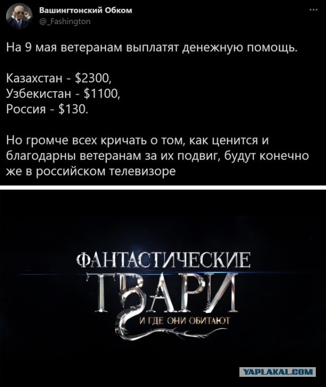 Весёлый полтишок 5.05