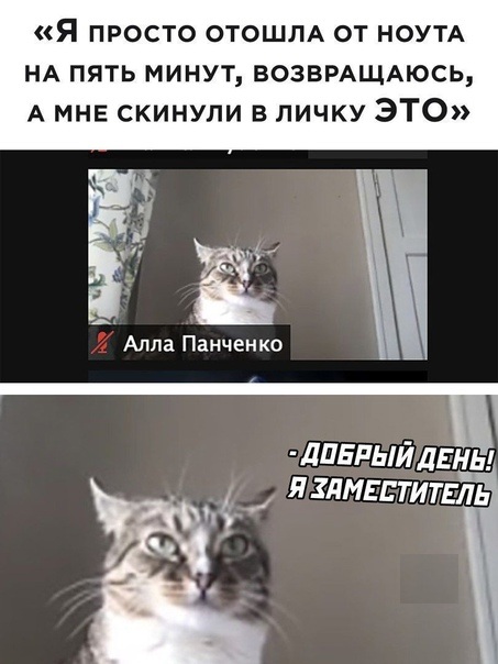 Юмор в картинках 22.08.21