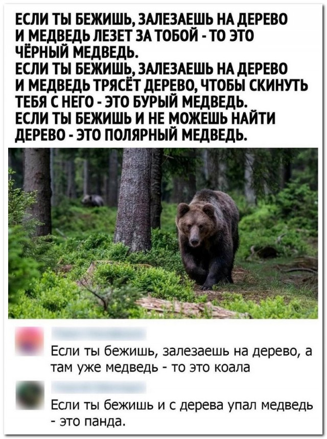 50 оттенков серого. V0l.12 Или  самосвал баянов.  50 штук .