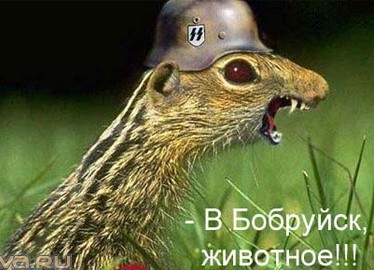 Ты не ты, когда голоден! Скандал в магазине в Перми - покупатель начал есть продукцию в зале и не захотел оплачивать товар