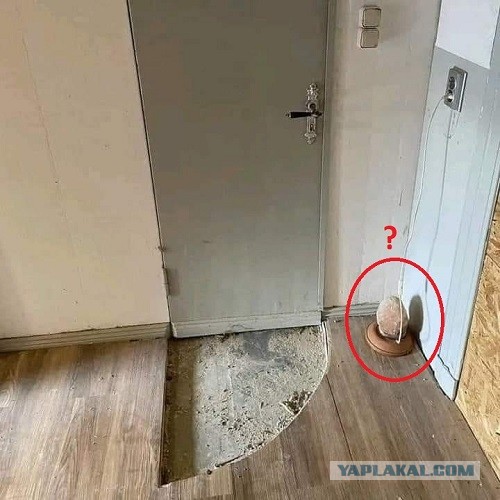 Я у мамы инженер
