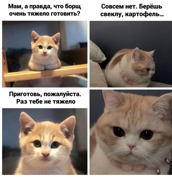 Всего понемногу. От 19.01.24