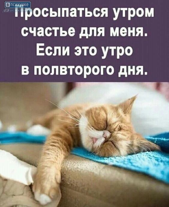 Завалялось тут случайно немного забавных картинок в субботу