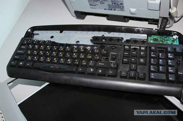 Очередной скандал Алексея Панина