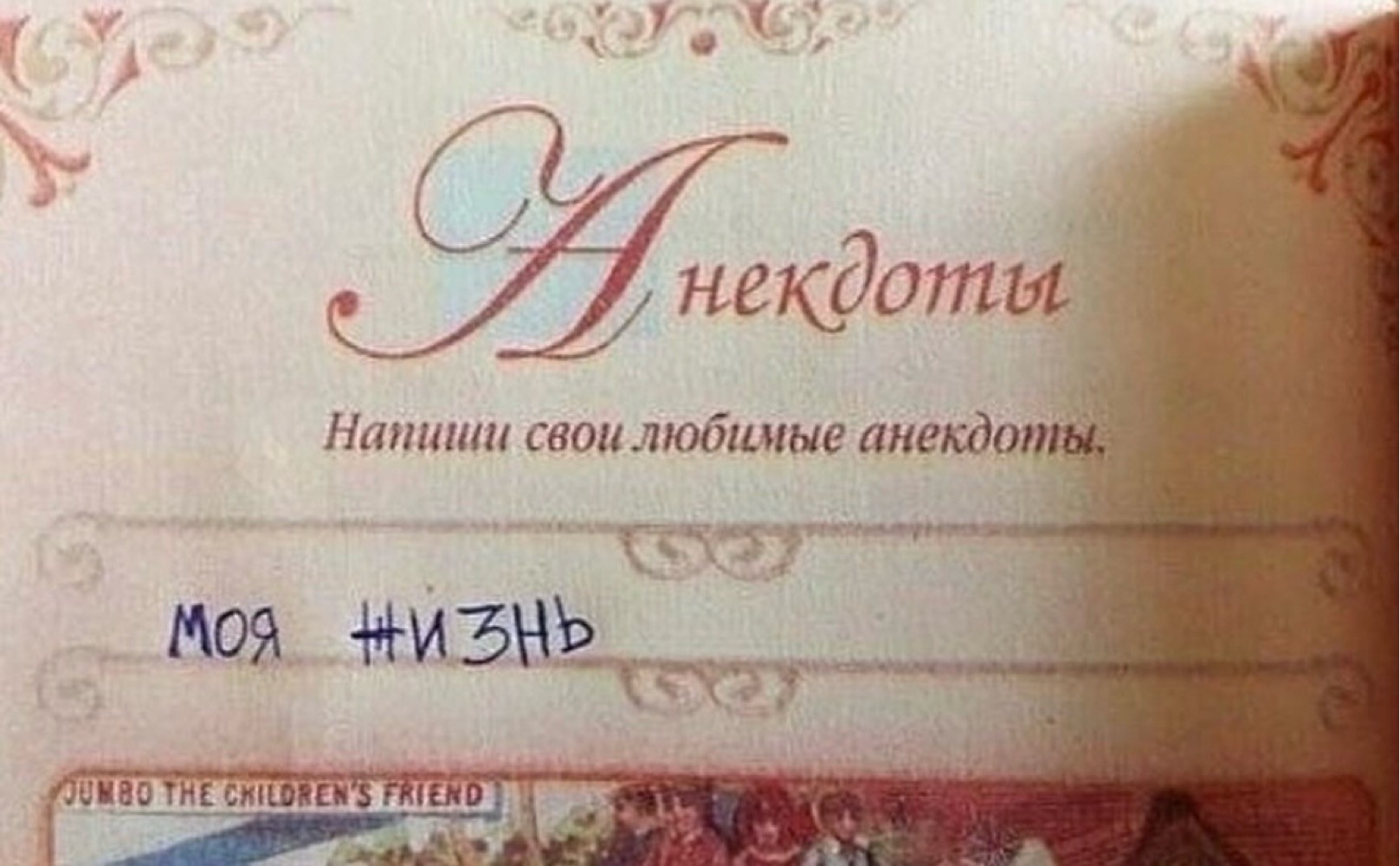 20273292.jpg