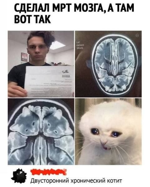 Пятничные картинки