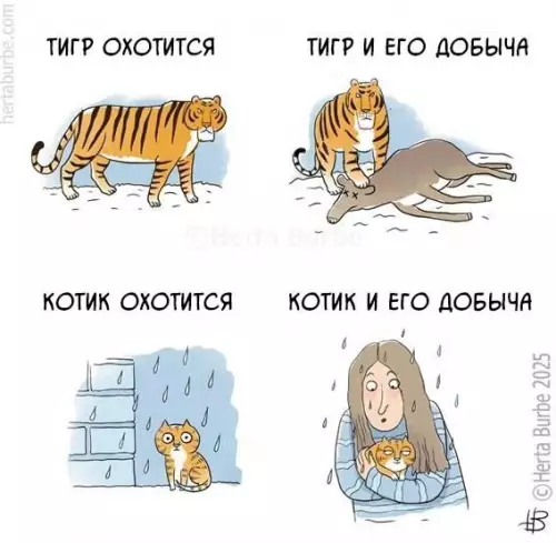 Картиночки, баянчики 23 февраля