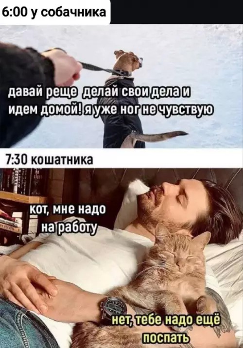 Картиночки, баянчики 10 апреля