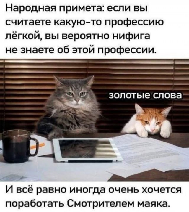 К котовторнику: подборка картинок-баянов с котиками и про котиков. Выпуск 37.
