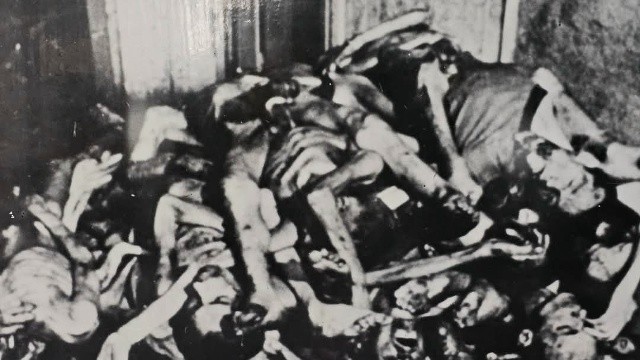 «Радуемся Красной Армии». В Польше сказали спасибо русским…