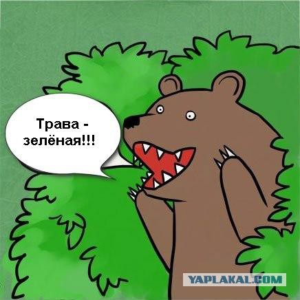Вода и воздух на Земле