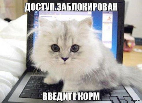 Cделал для себя, но может еще кому пригодится?