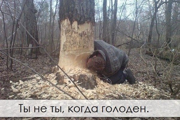 Смешные комментарии из социальных сетей.