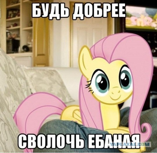 Смешные картинки с подписями 2