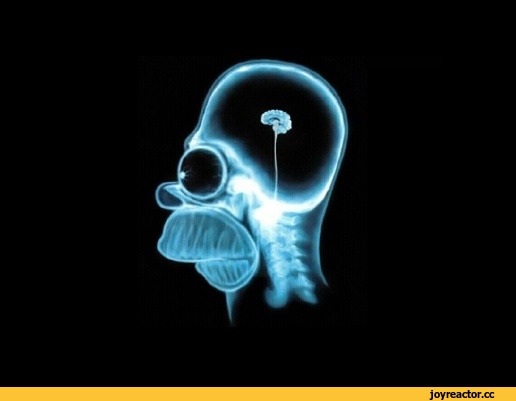 Московские либералы уже недостаточно радикальны