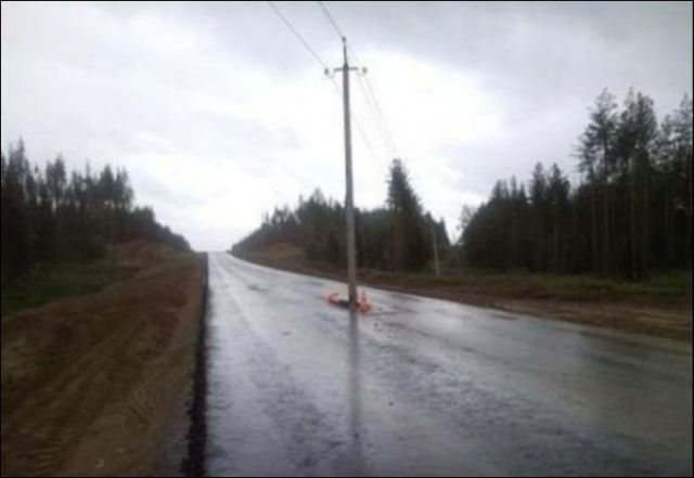 Весёлые картинки