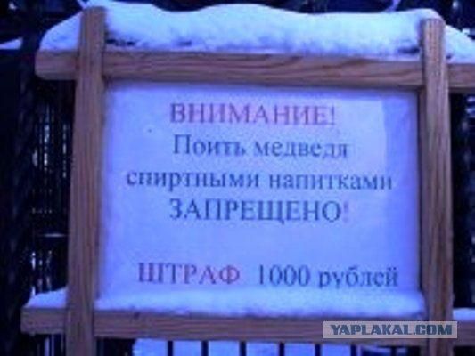 Весёлое из сети