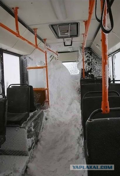 ЛиАЗ - Ликинский Автобусный Завод