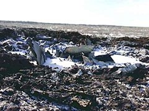 Под Волгоградом найдены тела пилотов Су-24