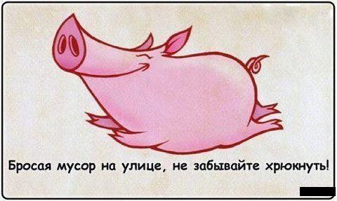 Двое самарцев подрались из-за мусорного мешка