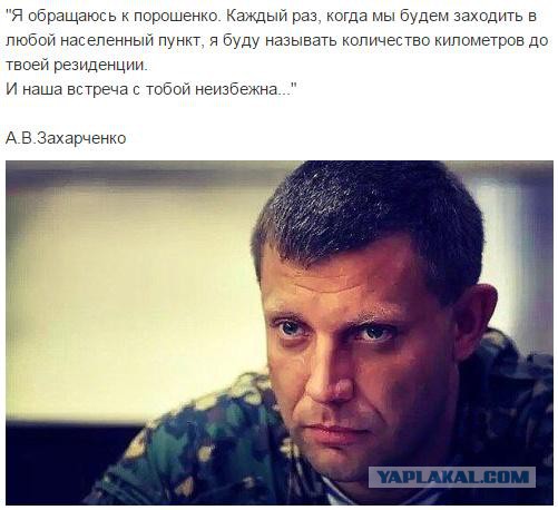 Солянка политическая #8