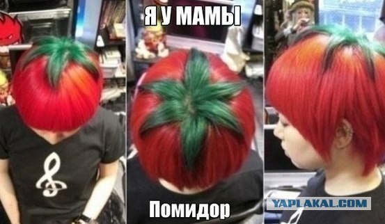 Прикупил на днях  помидорок ....