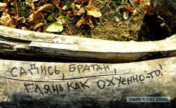 Чисто русские надписи