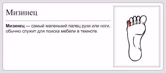 Подборка веселых картинок на выходные