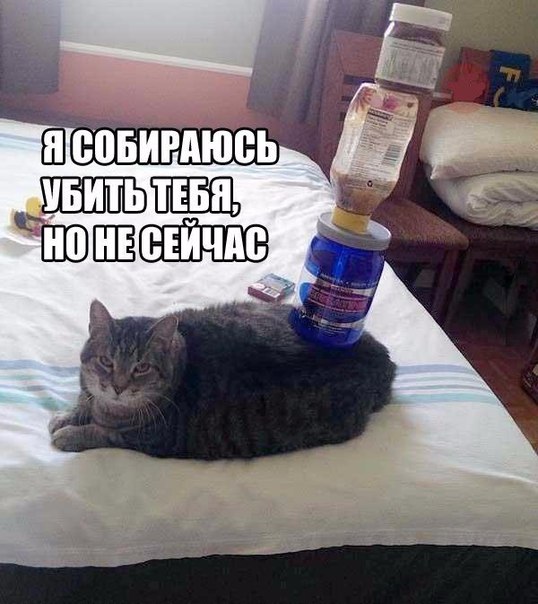 Ужасы и приколы из соцсетей
