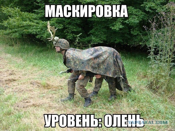 Wargaming 41