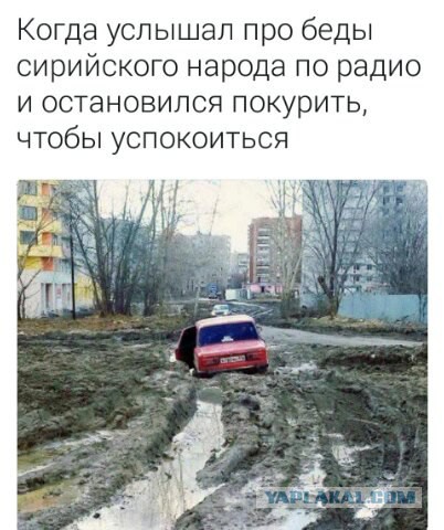 В таком унынии перед выборами я еще не был