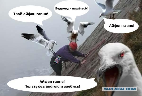 Официальные цены и дата предзаказа iPhone 8 в России