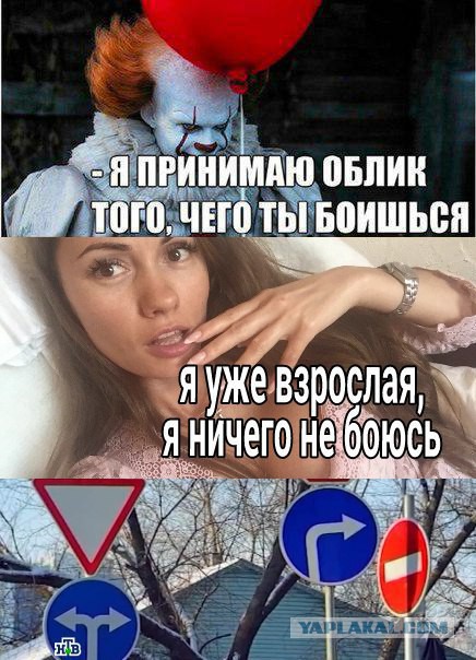 Стали известны новейшие подробности жизни и смерти голой туристки