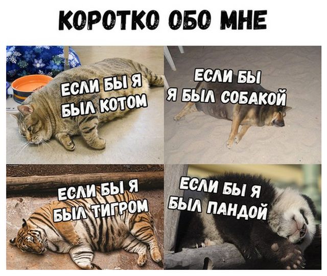 Подборка интересных и веселых картинок