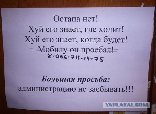 Народные перлы