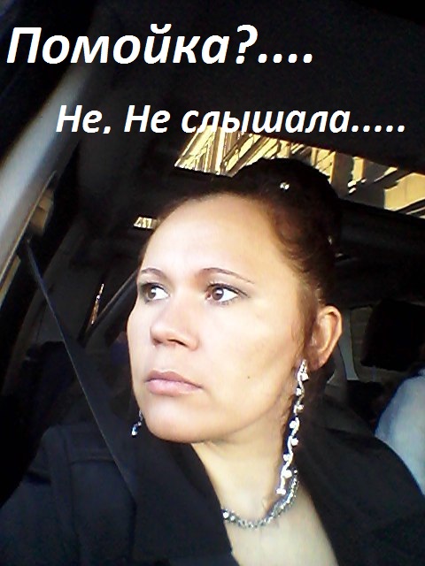 Когда свинья без мозгов