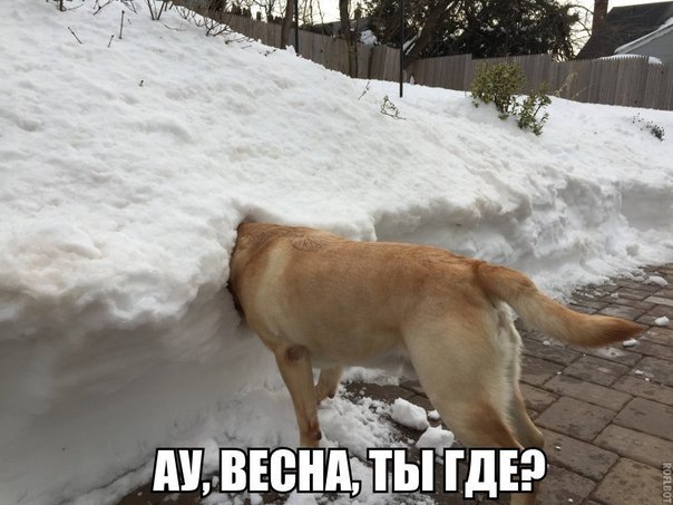 Прикольные картинки обо всём