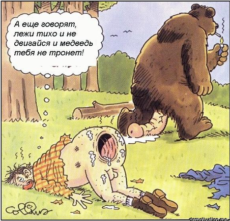 Медведь - страшная сила