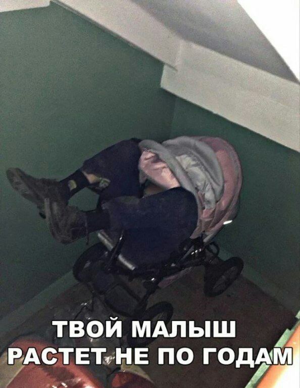 Немного картинок для настроения 11.02.20