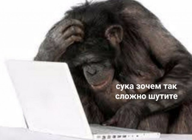 Полицейские стреляют в питбулей