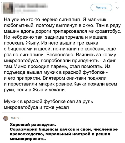 Немного картинок для настроения 30.06.20