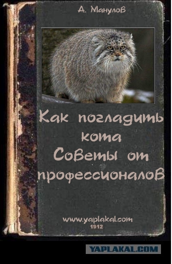 Фотожаба: учебник
