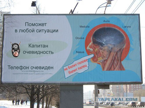 Орган работает! (8 фото)